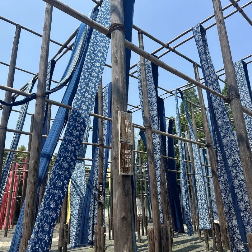 微信圖片_2025-06-10_094522_913.jpg